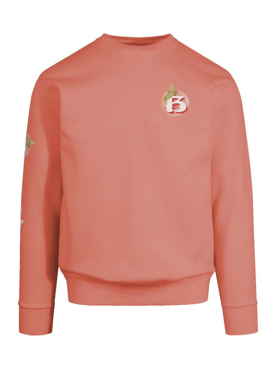 Breach Alpharetta Peach Crewneck (Peachy) product image (9)