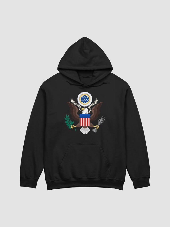 United States Hoodie product image (3)