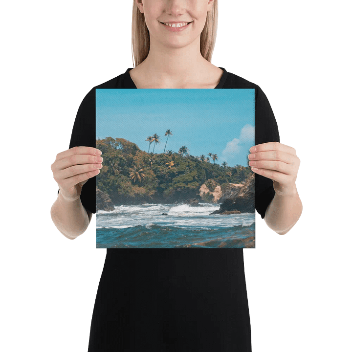 Toco View product image (2)