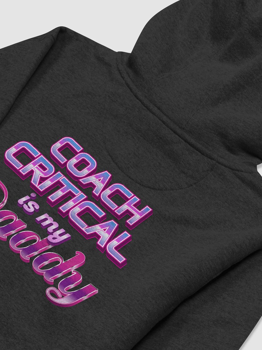 Coach Hoodical - Critical Daddy Hoodie product image (4)