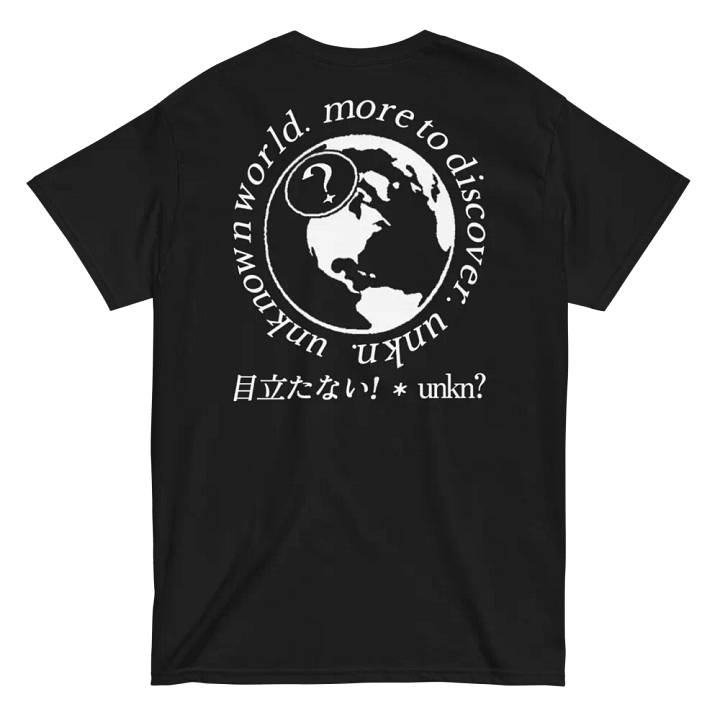 Globe Embroidered Heavyweight T-Shirt product image (2)