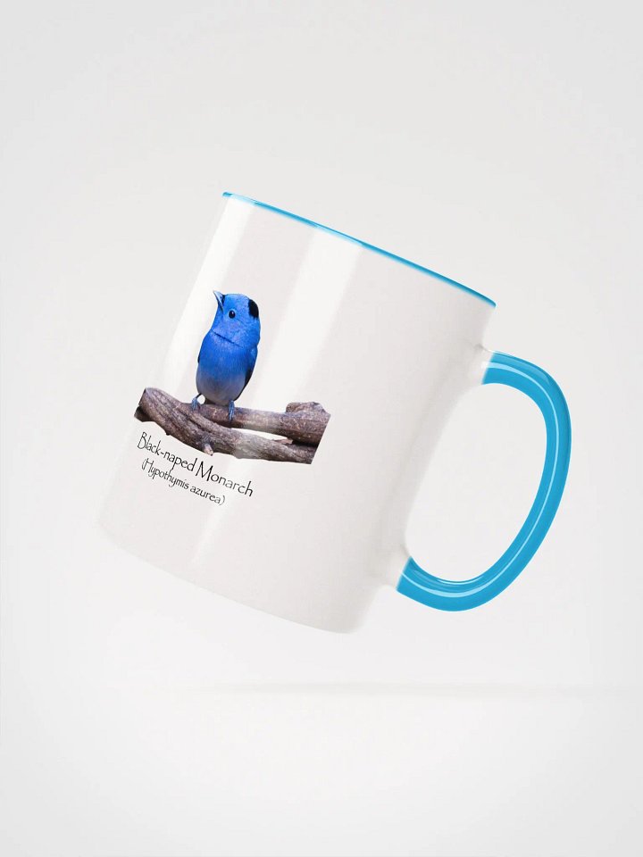 Black-naped Monarch. mug product image (2)