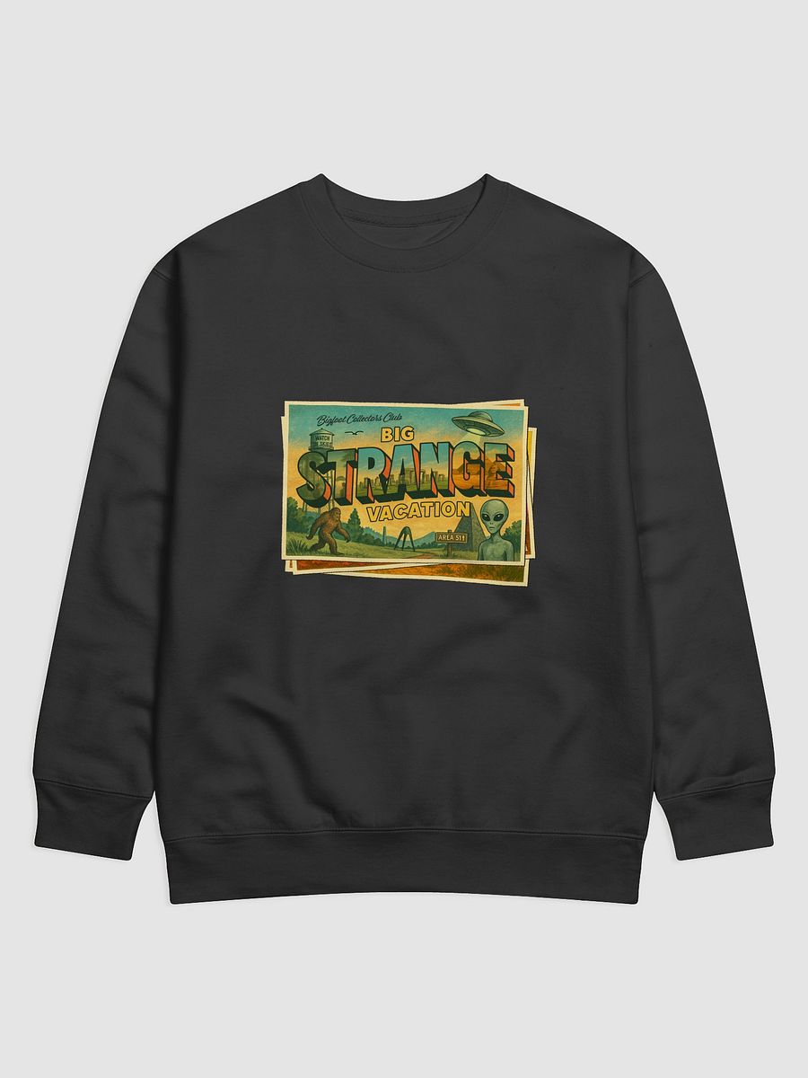Big Strange Vacation Sweatshirt. product image (1)