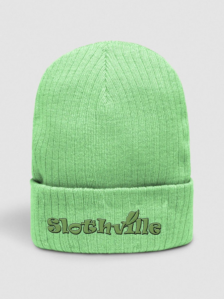 Slothville Eco-Friendly Ribbed Beanie product image (26)