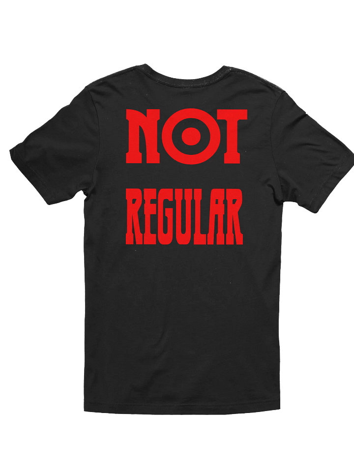 "NOT REGULAR" TEE product image (21)
