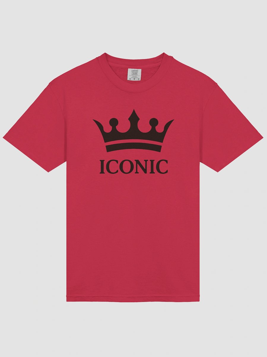 ICONIC Black Logo T-Shirt product image (3)