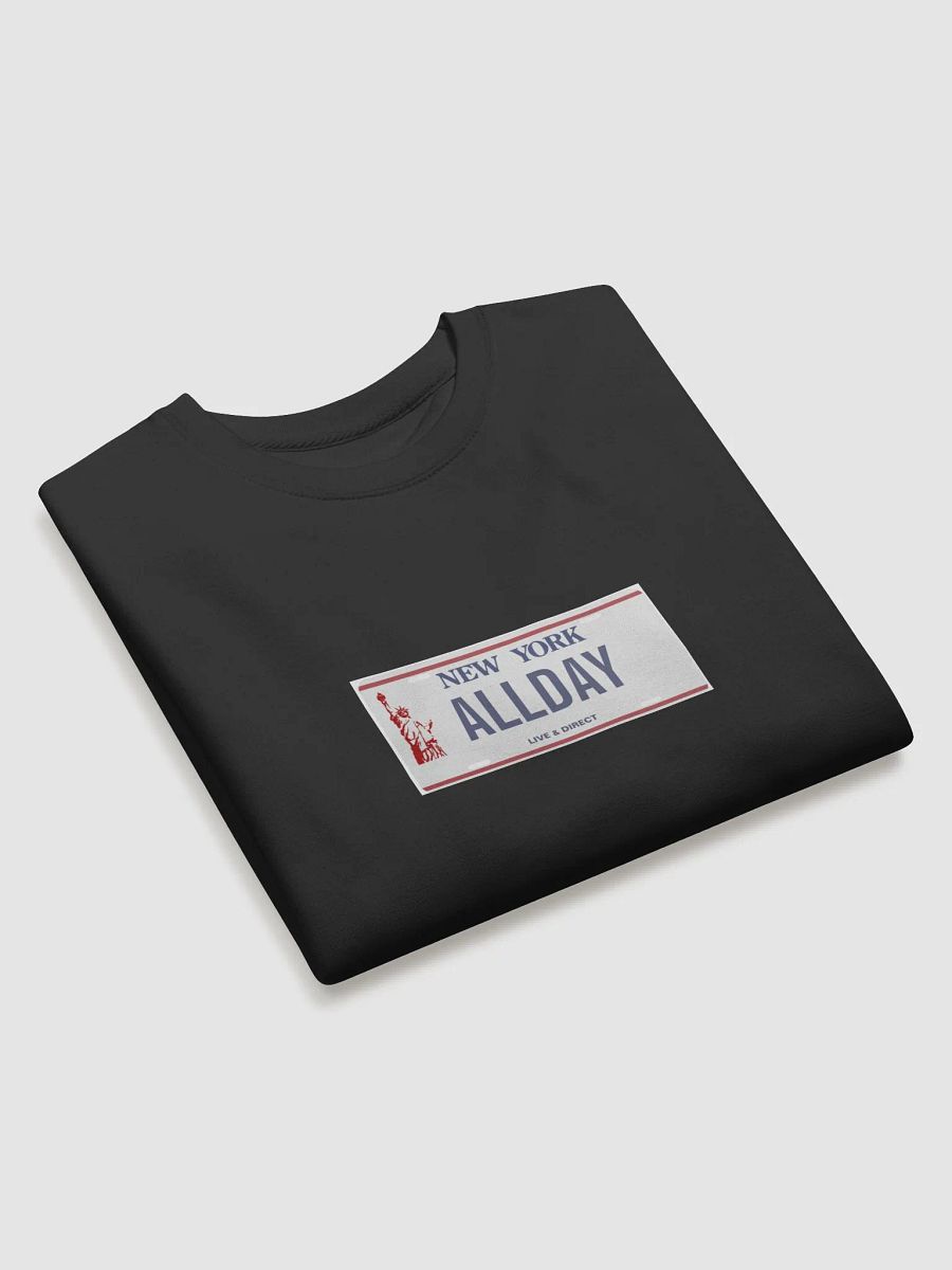 ALLDAY License Plate Crew product image (8)