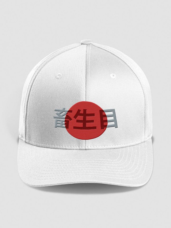 Japan product image (1)