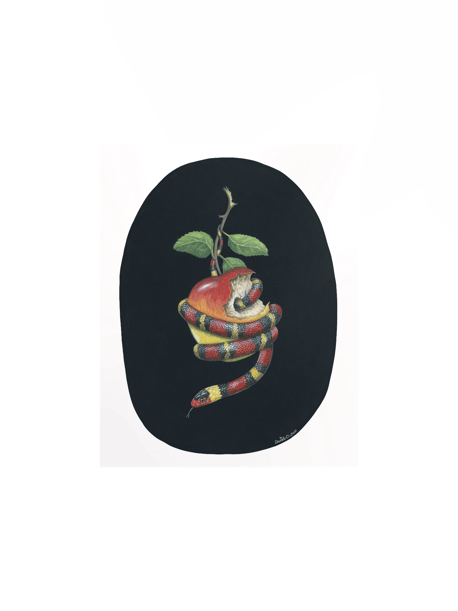 They'll Tell You It's Dangerous (Scarlet Kingsnake) - Art Print product image (2)