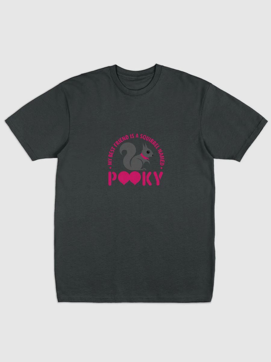 Super Comfy Tee: My Best Friend is a Squirrel Named Pooky product image (1)