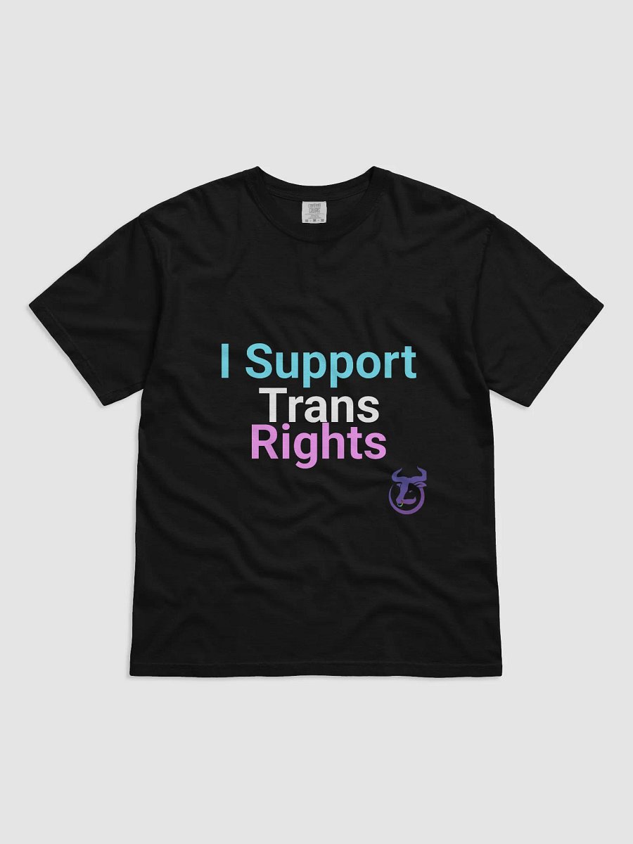 I Support Trans Rights T-Shirt product image (3)