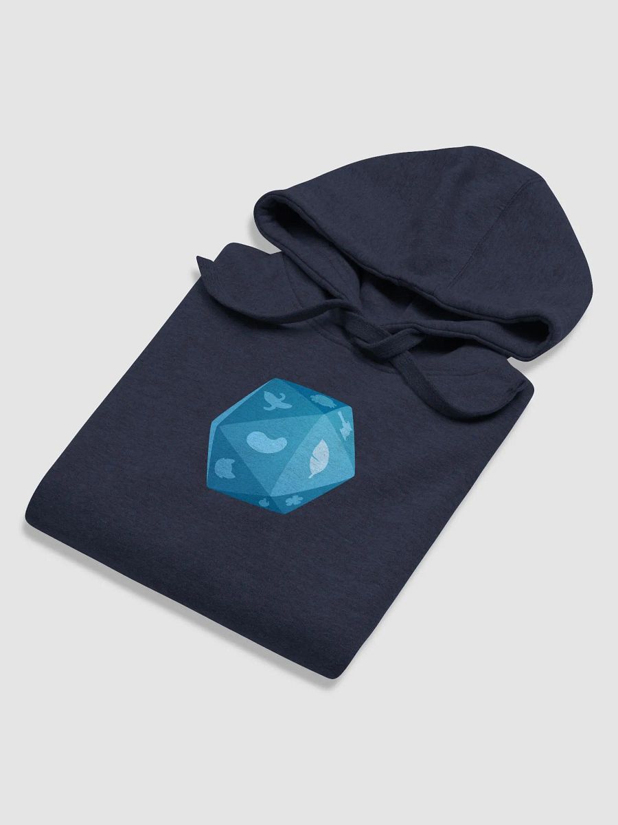 b20 - Briny Hoodie product image (5)
