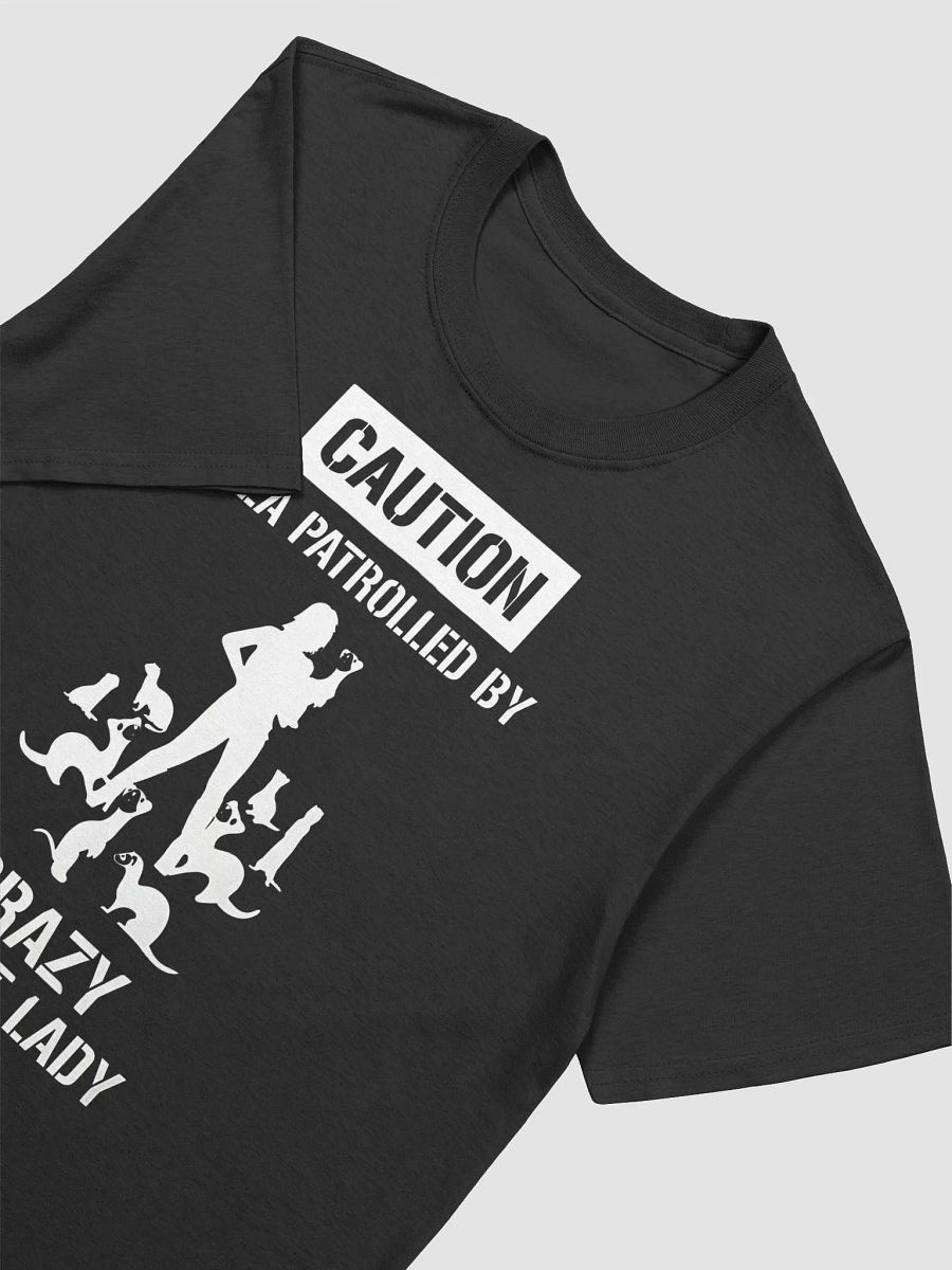 Ferret Lady Funny - Unisex T-shirt | Gildan 64000 product image (3)