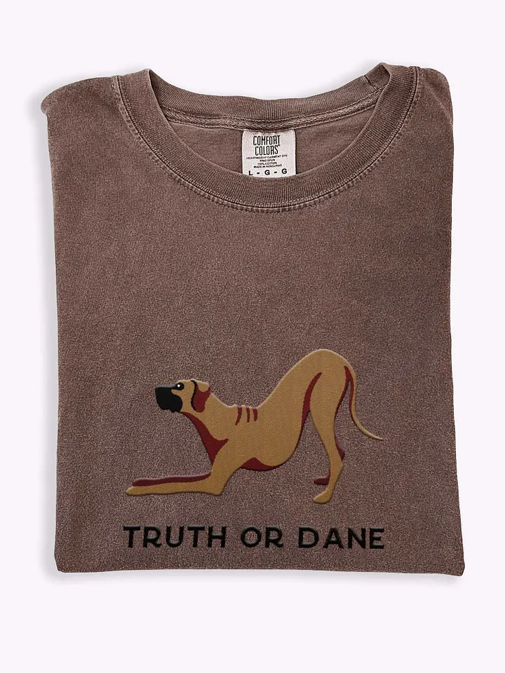 Truth or Dane T-Shirt(Embroidered) of a Great Dane product image (1)