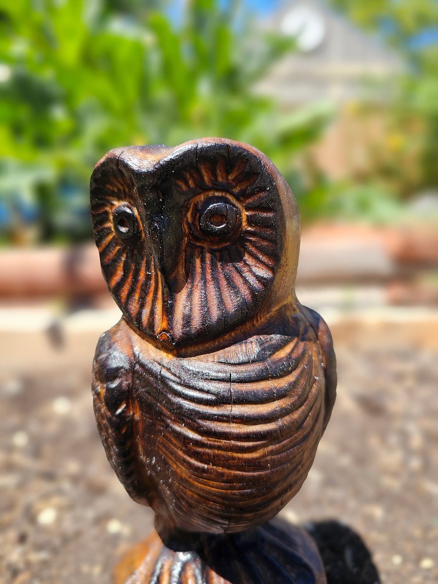 Wood Carved Owl! product image (6)