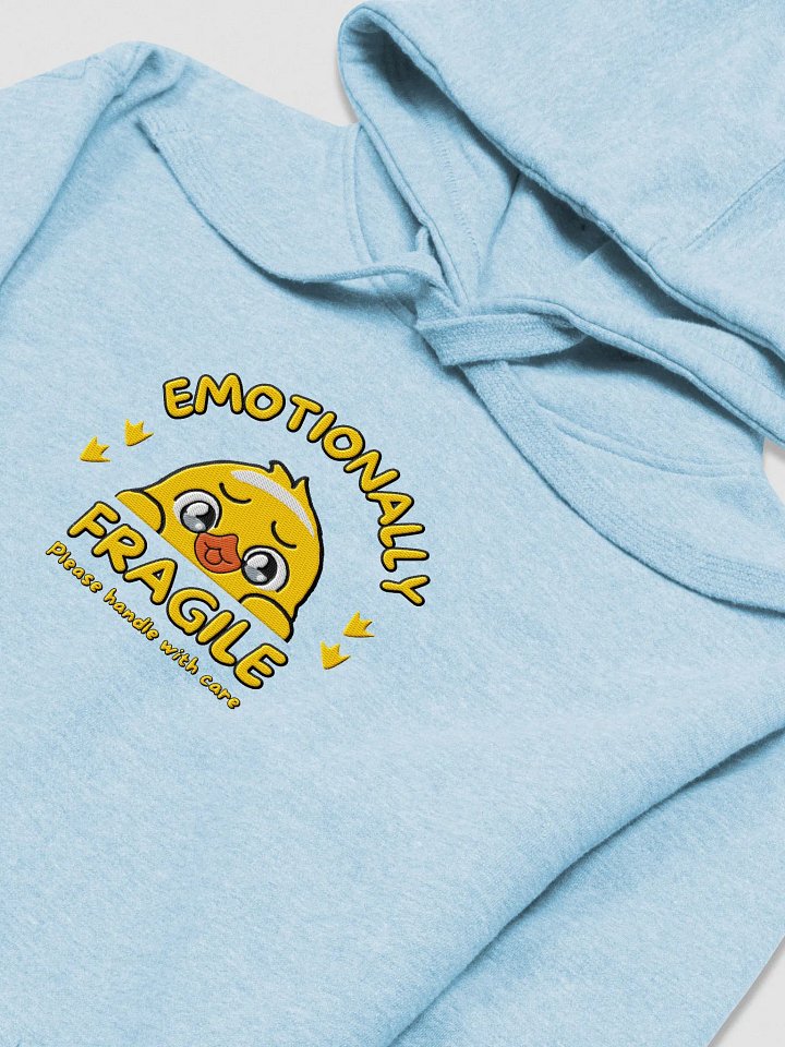Embroided Emotionally Fragile Hoodie (Large Logo) product image (26)
