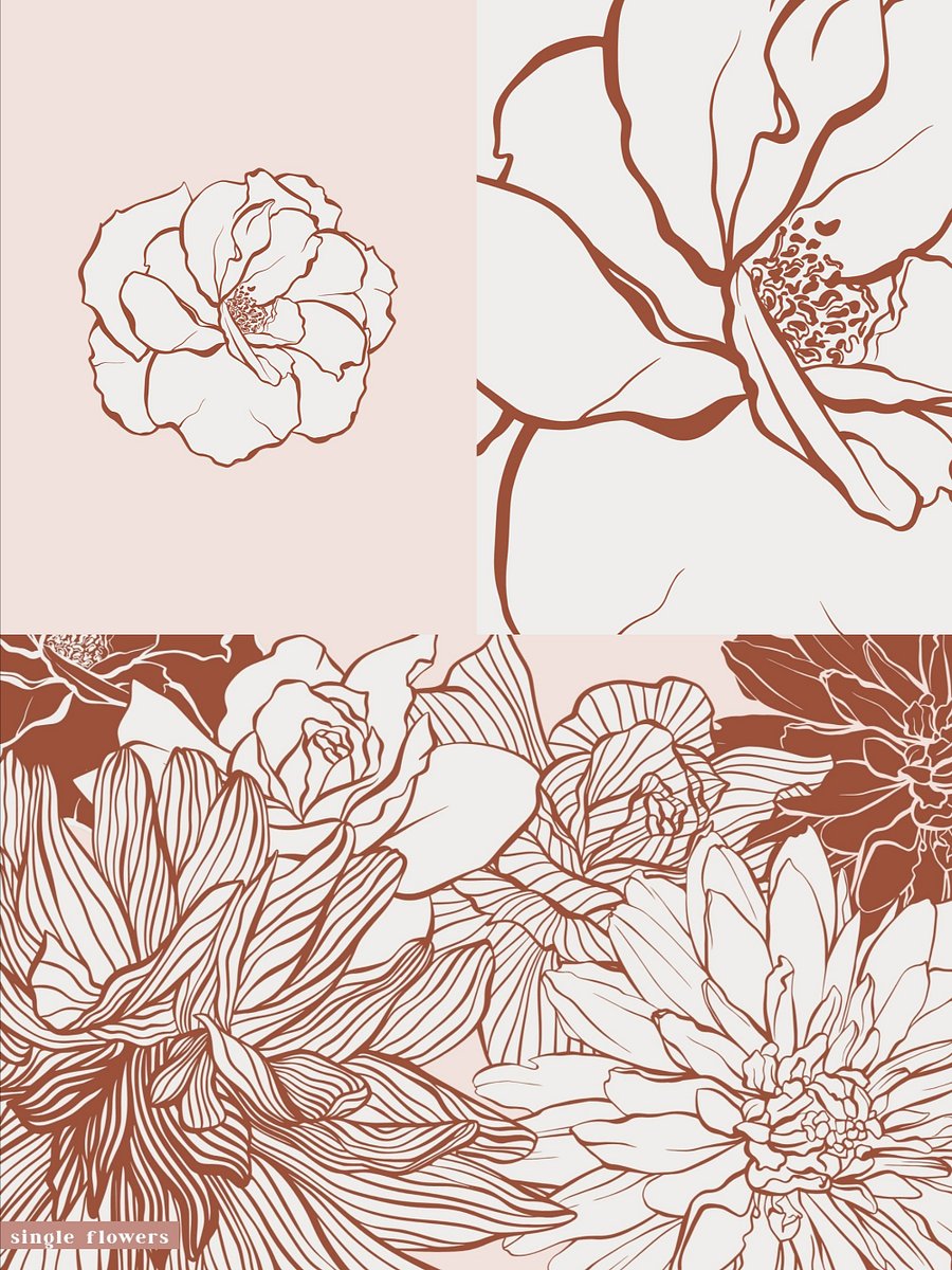 Elegant Floral Patterns Vector Collection product image (6)