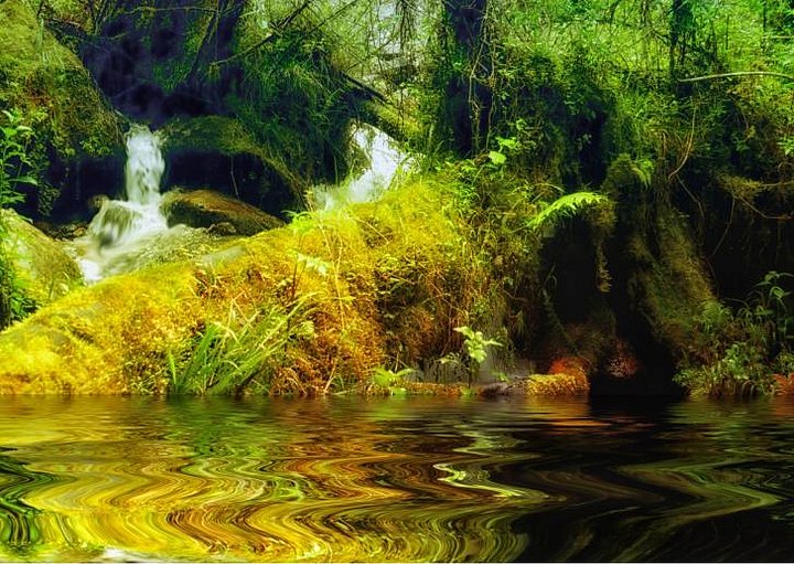 Mossy Log Digital Print product image (1)