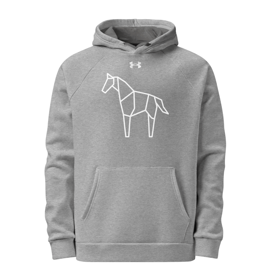 Under Armour® Unisex Hoodie product image (1)