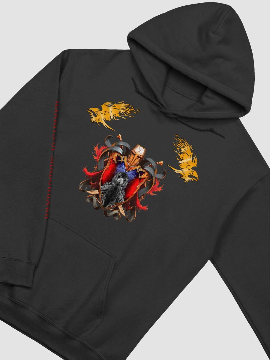 KoS - Hoodie with Multiple Designs product image (2)