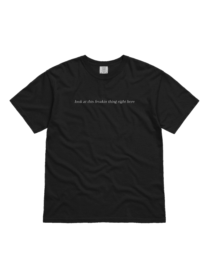 Look At This Freakin Thing Right Here T-Shirt (Comfort Colors, Soft Embroidered Edition) product image (1)