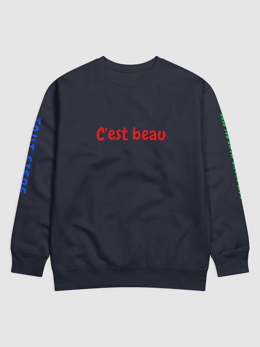 CEST BEAU HOODIE product image (5)