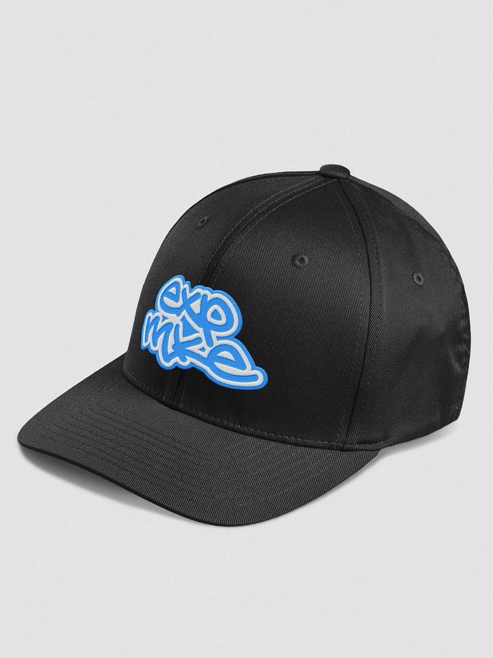 Fitted Hat - ExpMKE Tagged product image (2)