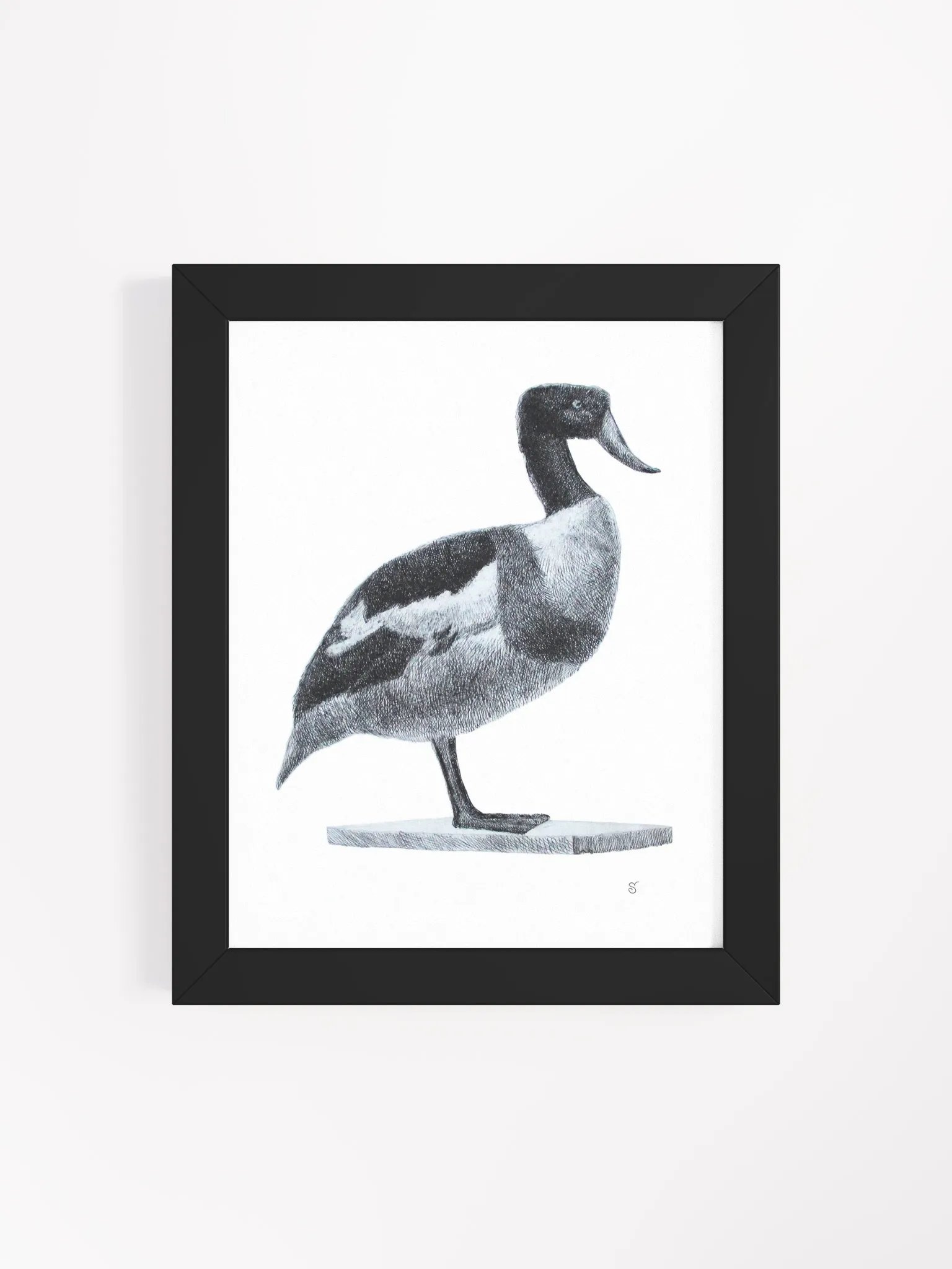 Serene Solitude: Framed Duck Illustration - Duck product image (12)