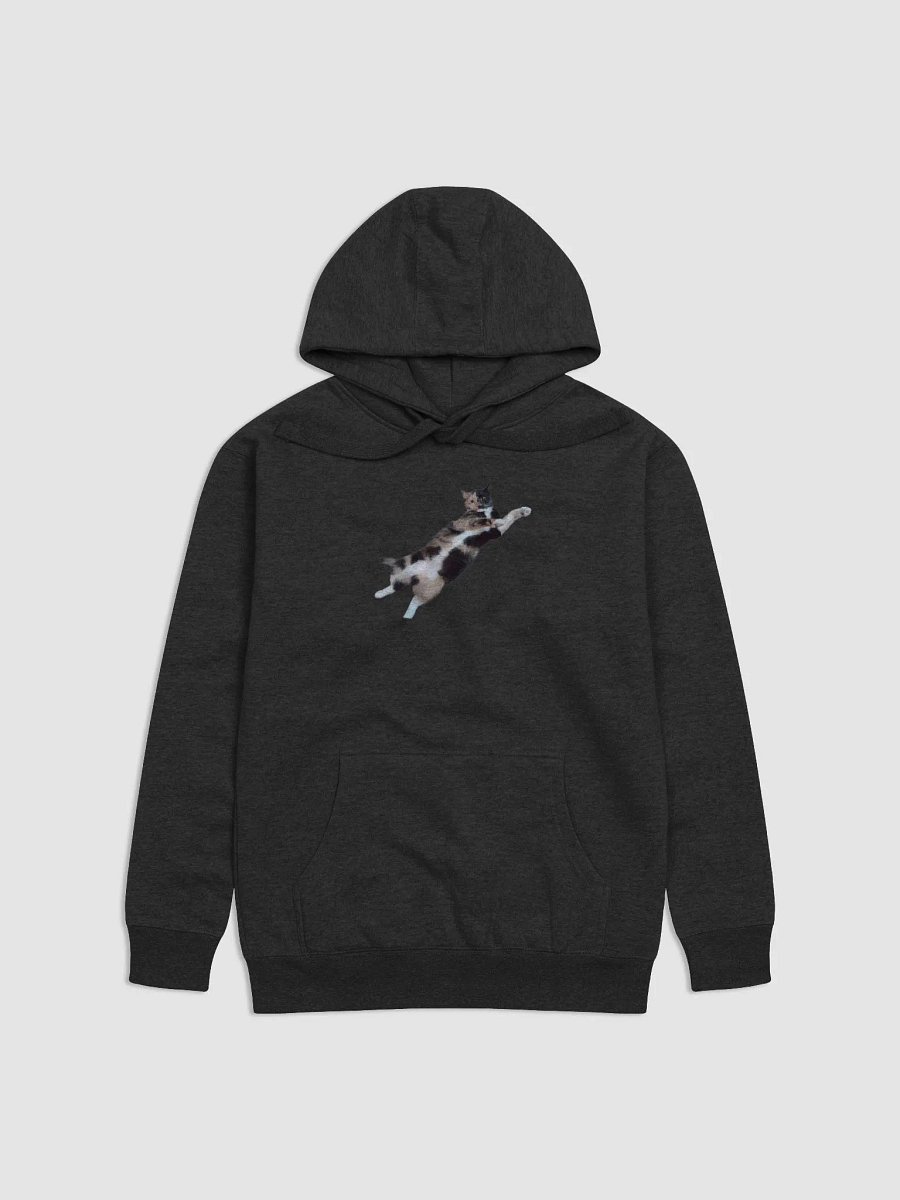 Flight of the Lyras Hoodie product image (1)