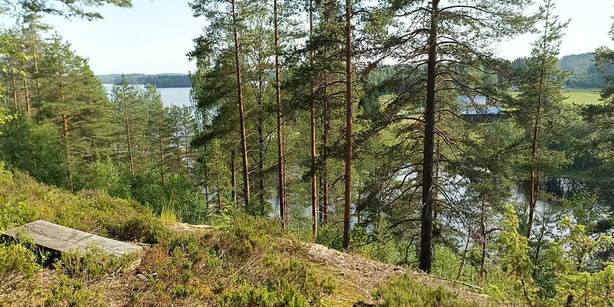 a view from Korpiselkätalo