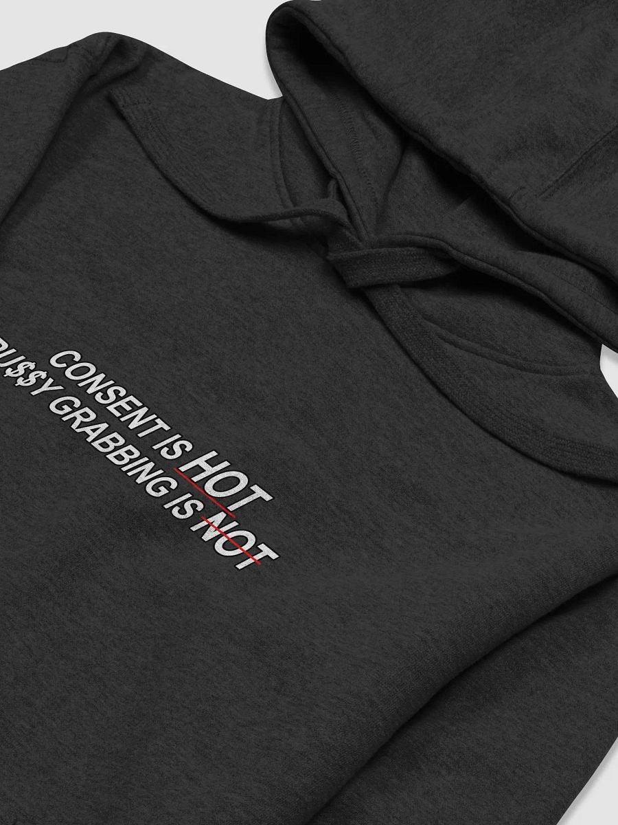 Consent Is Hot Unisex Premium Hoodie product image (3)