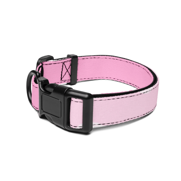 Pop Art Gnome Collar product image (2)