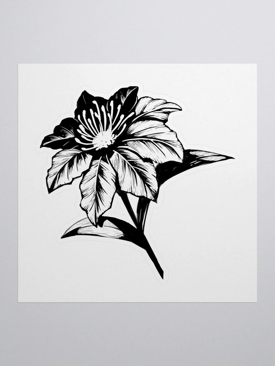 Sticker - Fayne PDV product image (1)