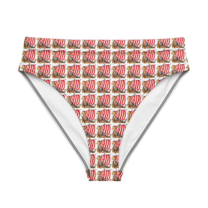 Raid panties product image (2)