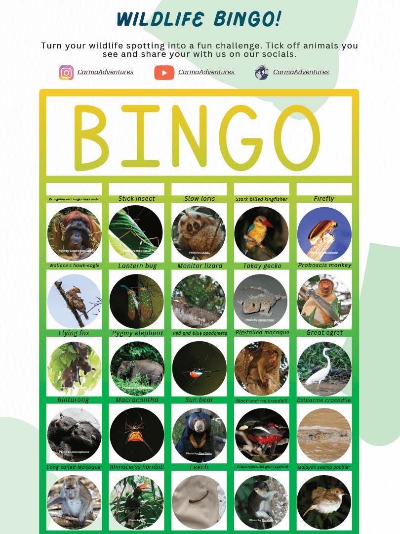 Free Fun Wildlife Bingo for Your Trip to Sabah in Borneo product image (1)