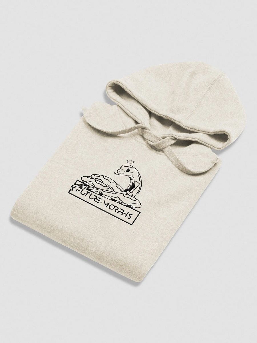 New Logo Hoodie Embroided product image (4)