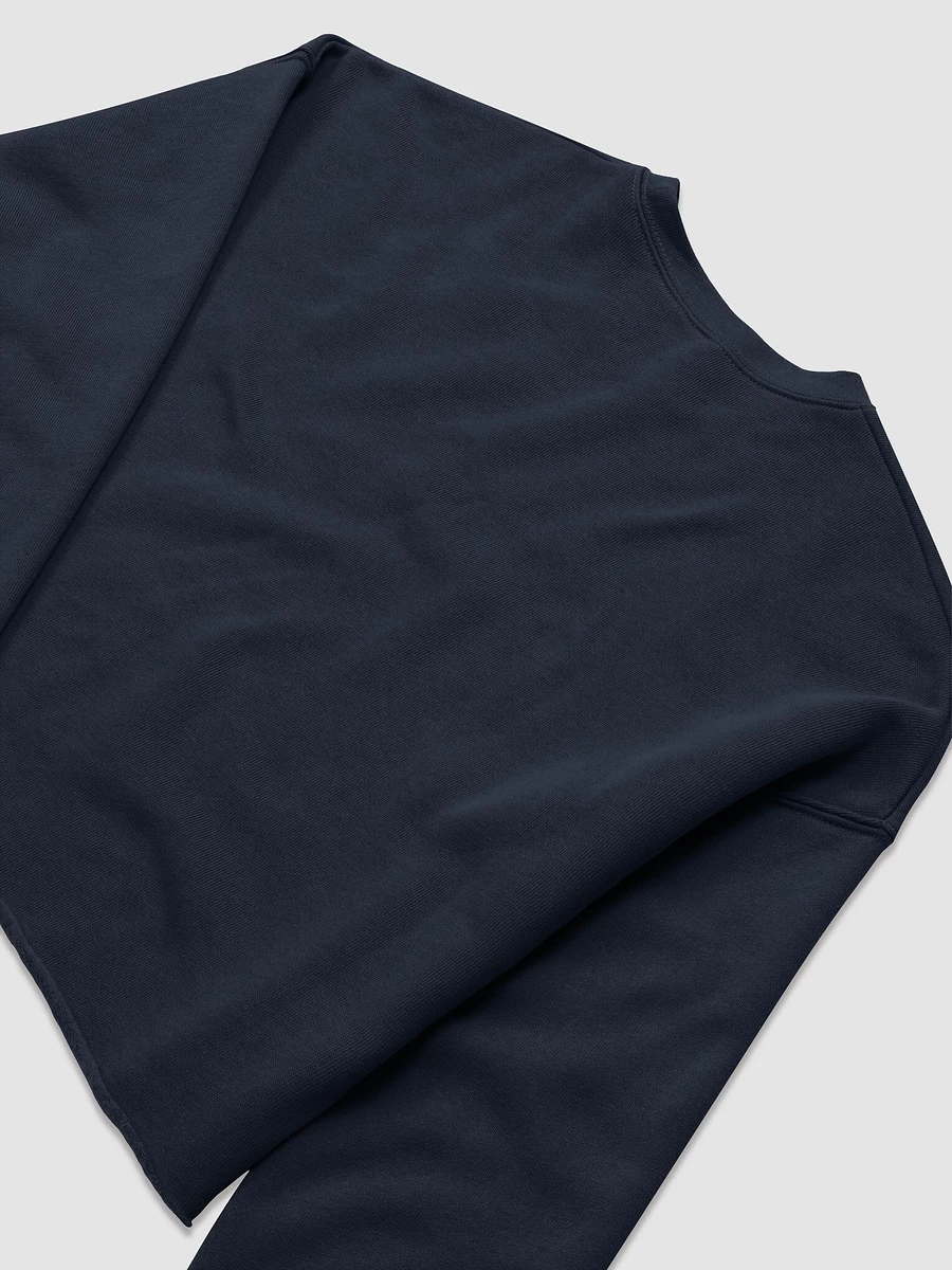 Payton's Virtual Corner Cropped Sweatshirt - WhiteText product image (38)