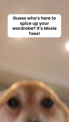 🛑 Ready to wear your mood? Moxie Tees lets you speak without saying a word! 😎✨ Be the talk of the town. Link in bio to shop! ...