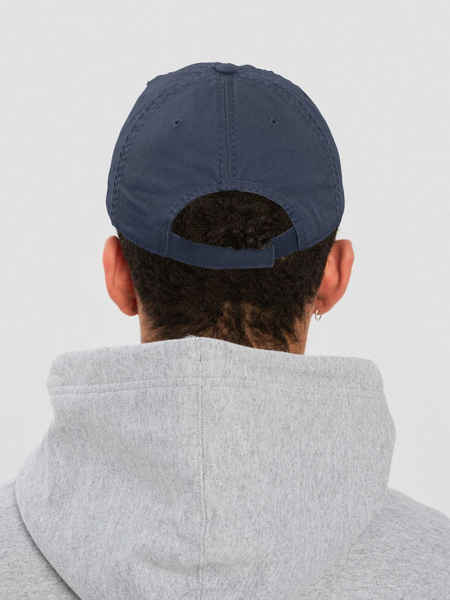 Rogue Distressed Hat product image (30)