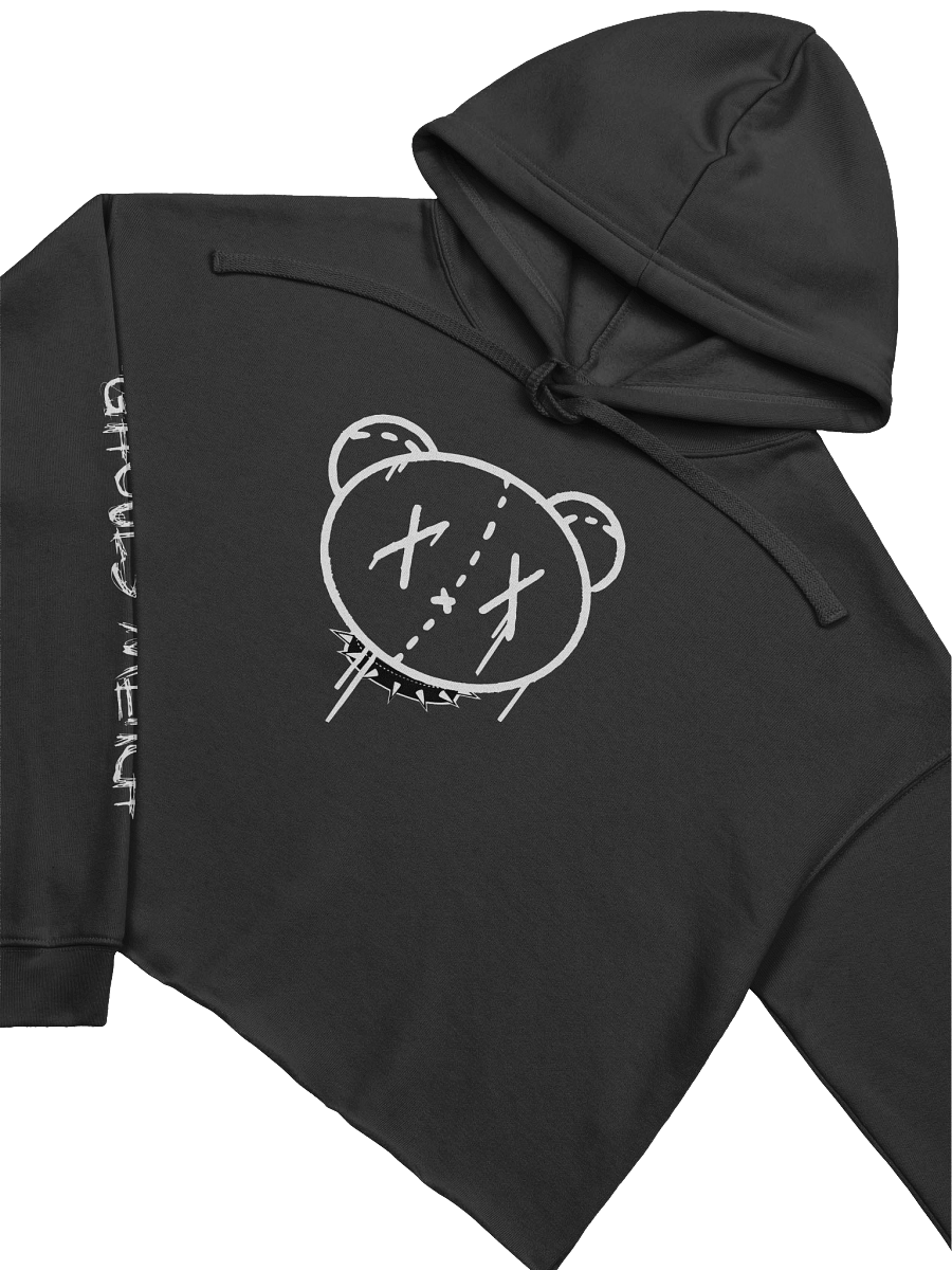 Graffiti Bear Long Sleeve Crop Hoodie product image (3)