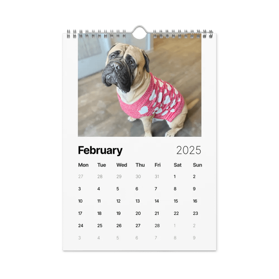Meech 2025 Wall Calendar product image (4)