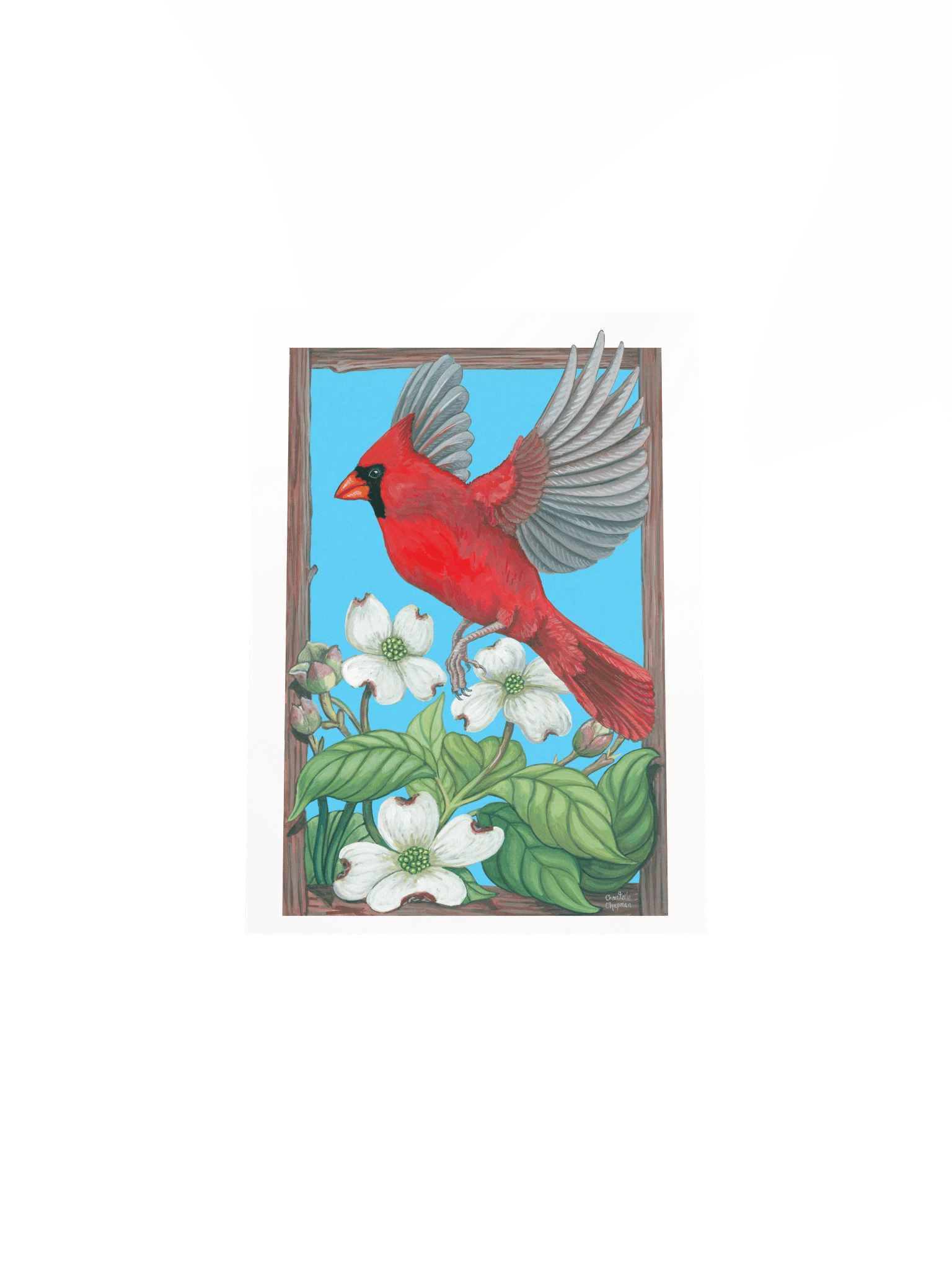 Cardinal + Dogwood - Art Print product image (5)