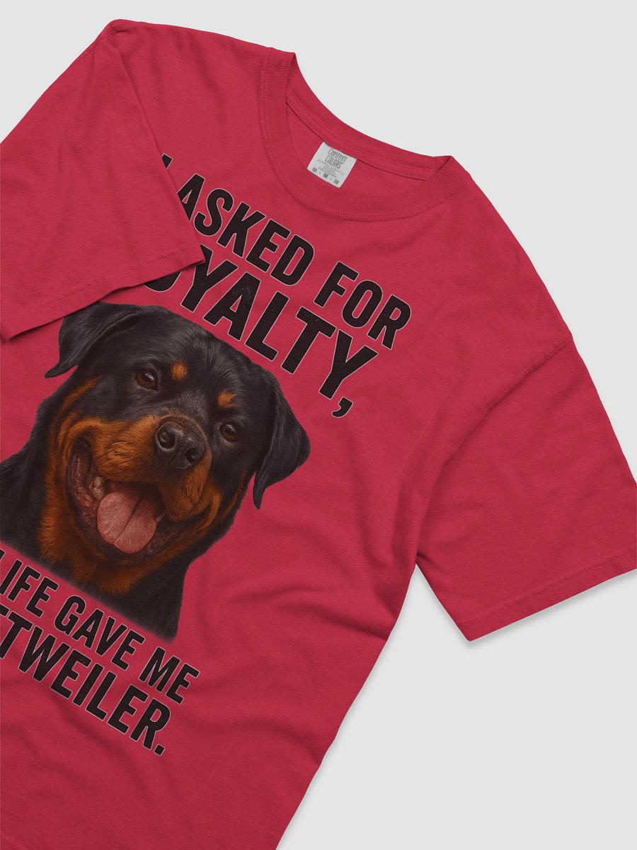 Loyal Rottweiler Graphic Tee product image (62)