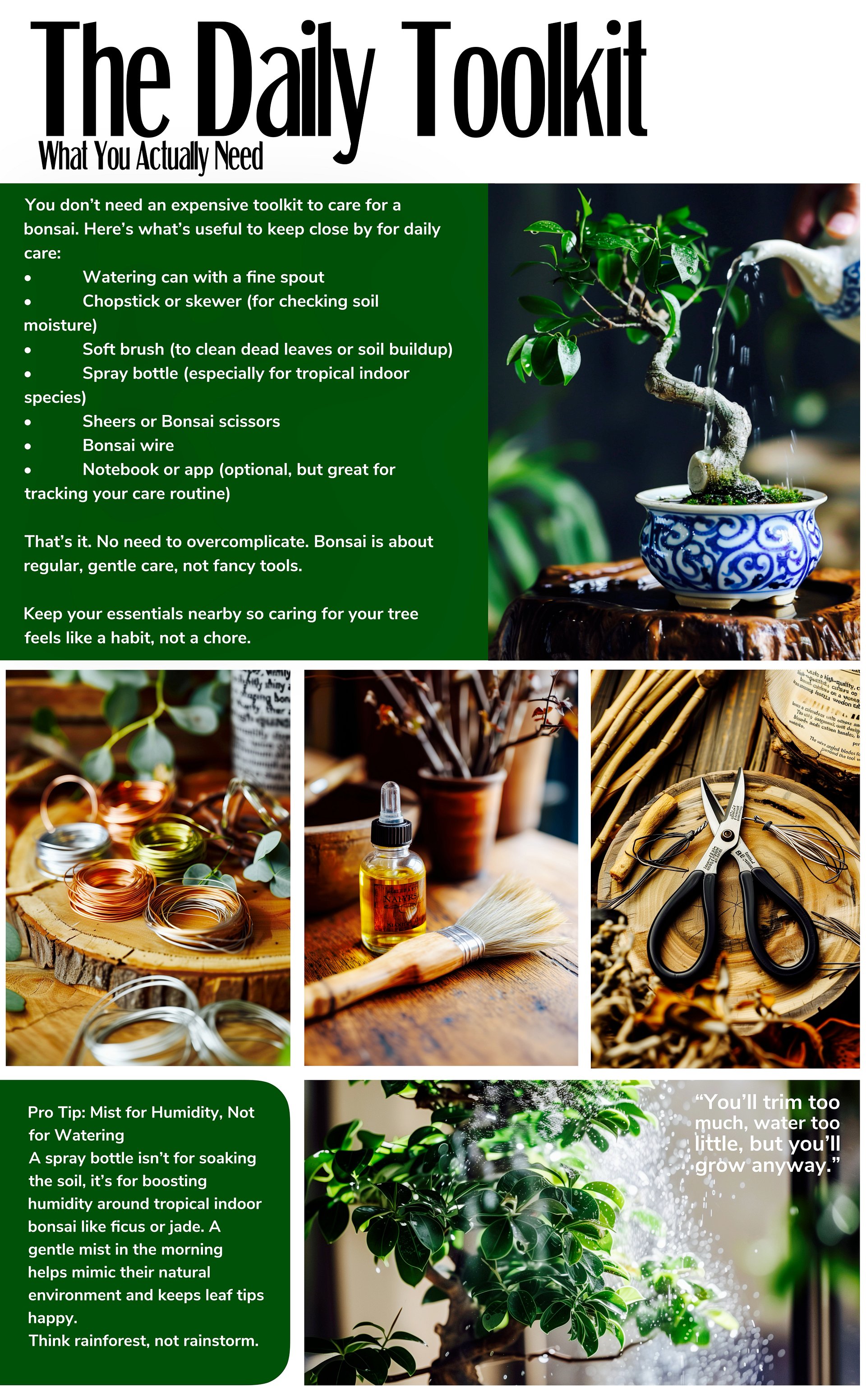 Essential Bonsai Guide : Bonsai for Beginners product image (12)
