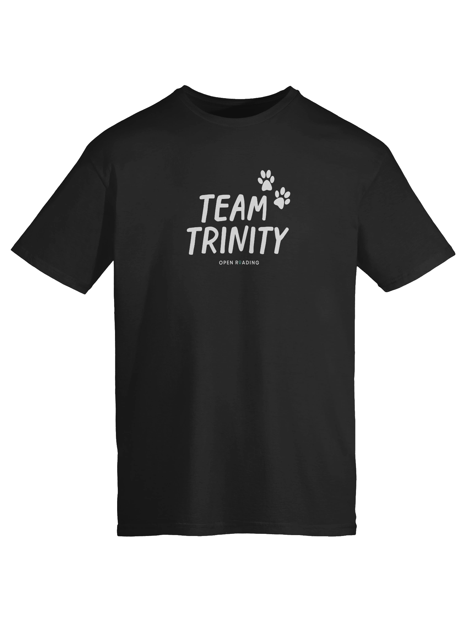 Team Trinity Adult-Sized Tee product image (9)