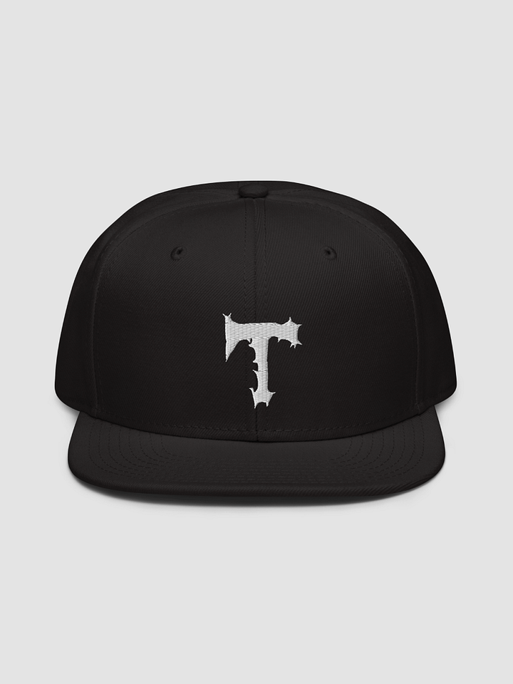 [Tyminatorsongs] Snapback | Otto Cap 125-978 (3D Puff) product image (1)