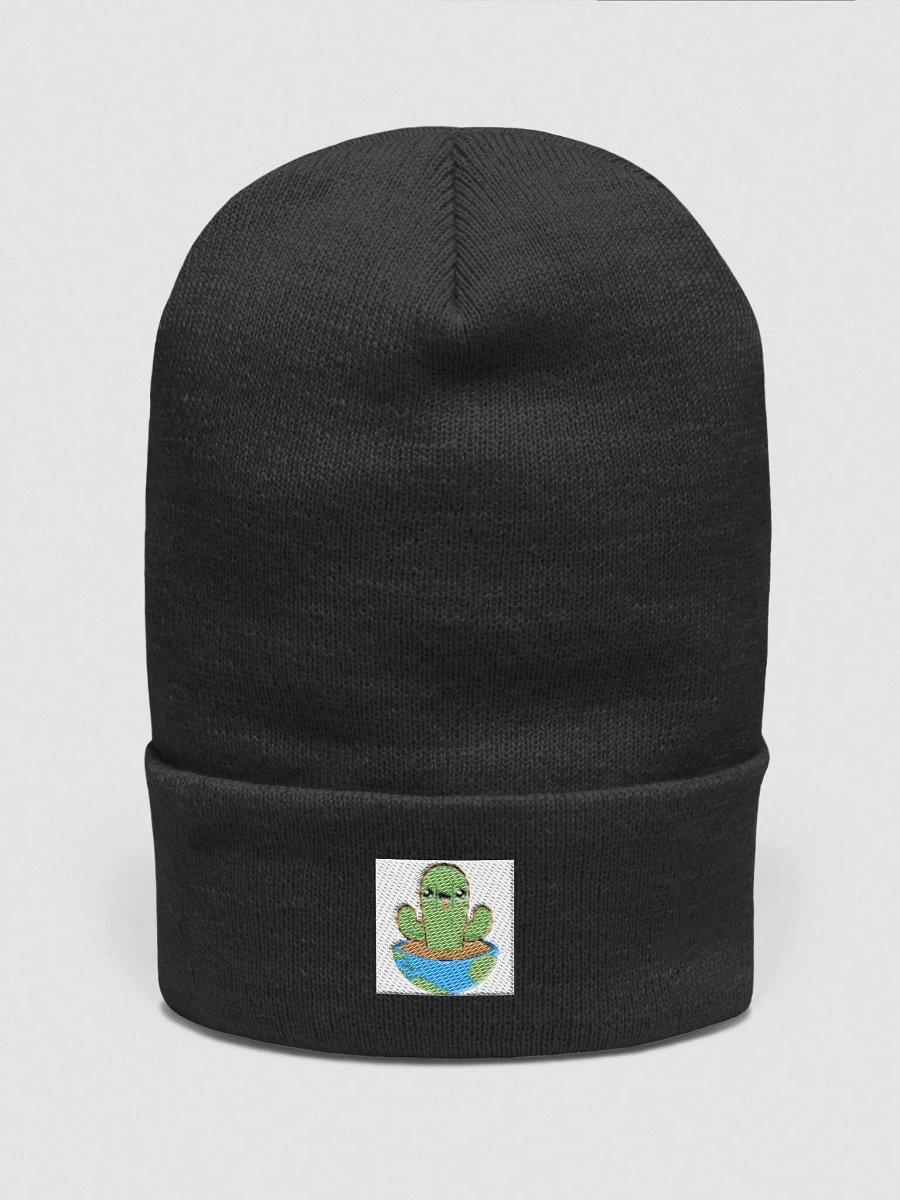 Hen's Cactus product image (1)