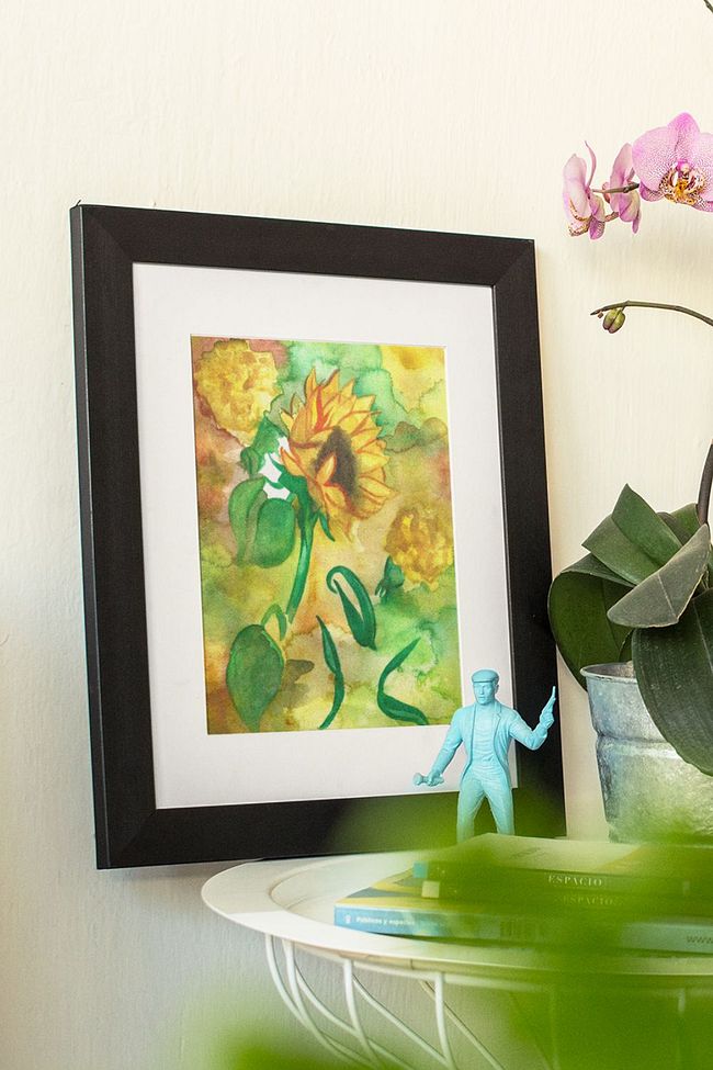 Nature & Landscapes Framed Prints 