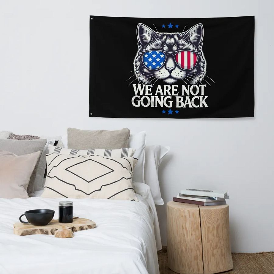 US Election Day 2024 We Are Not Going Back Cat America Flag product image (4)