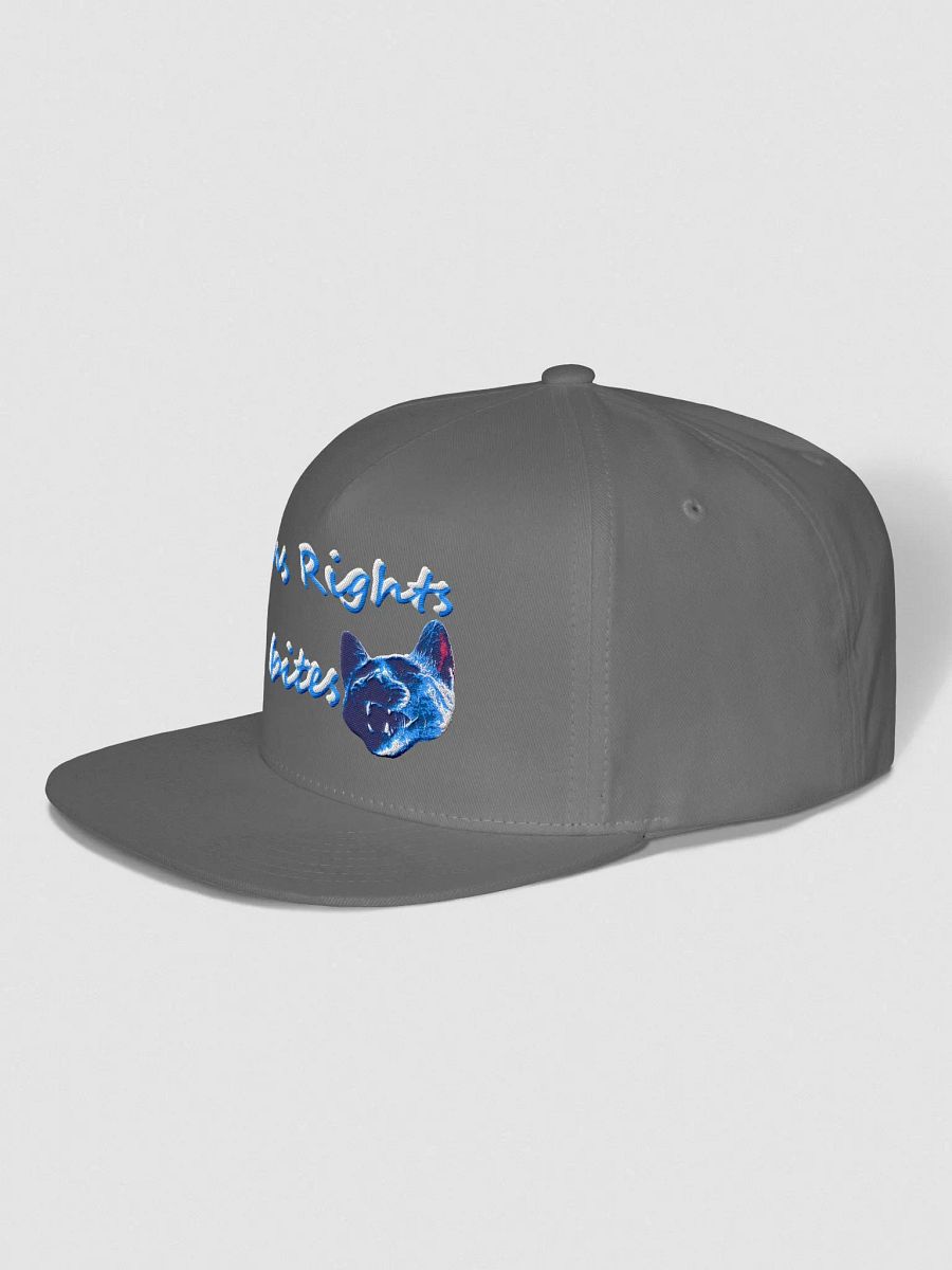 TROIB Snapback hat in blue product image (3)